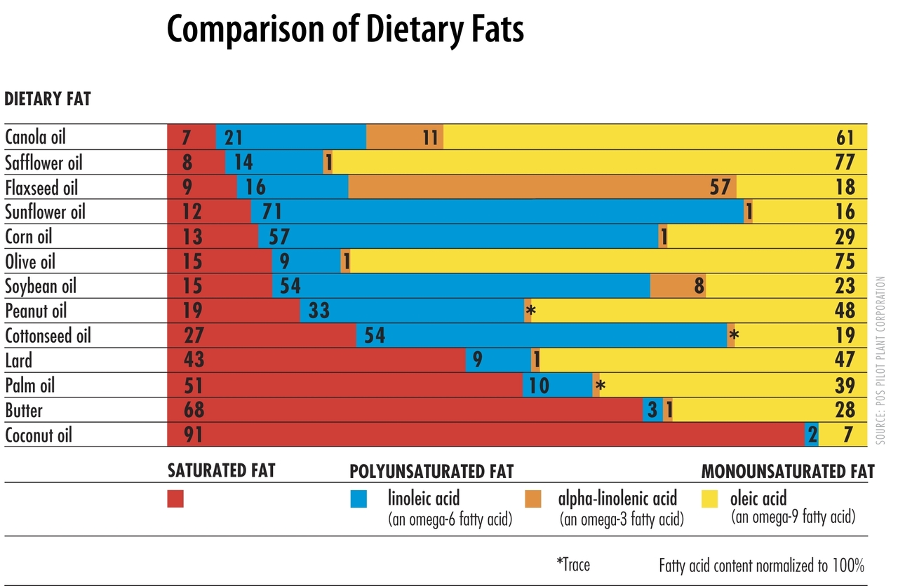 Fat Content In Olive Oil 71